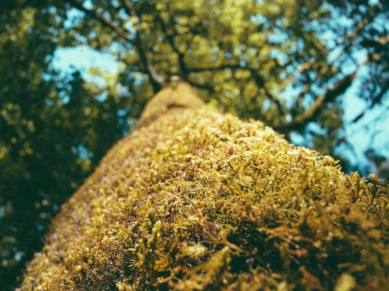 账号密保换绑<br>邮箱手机安全过户防找回全套流程